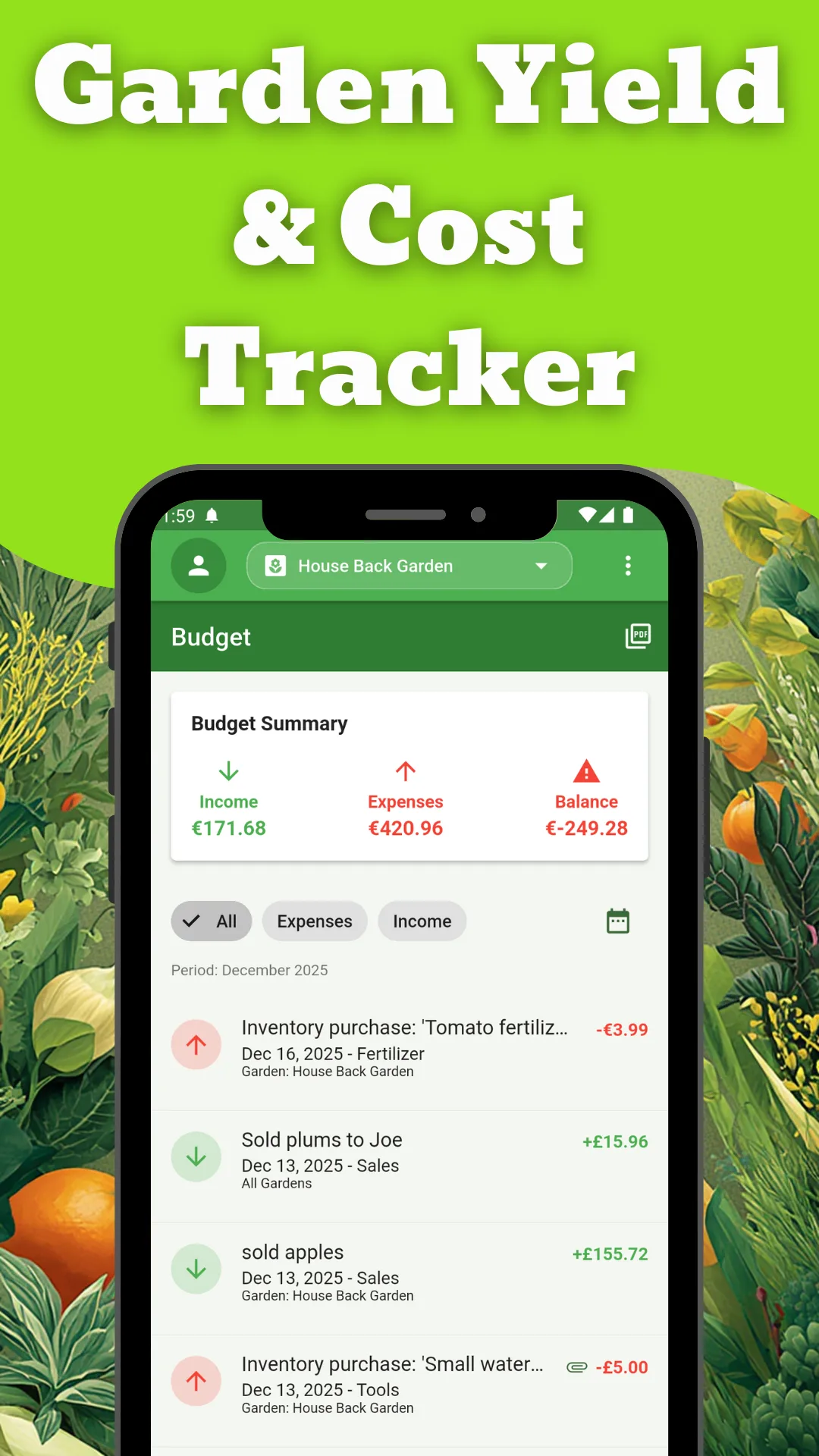 Budget summary with income, expenses and balance
